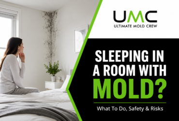 Sleeping in a Room With Mold